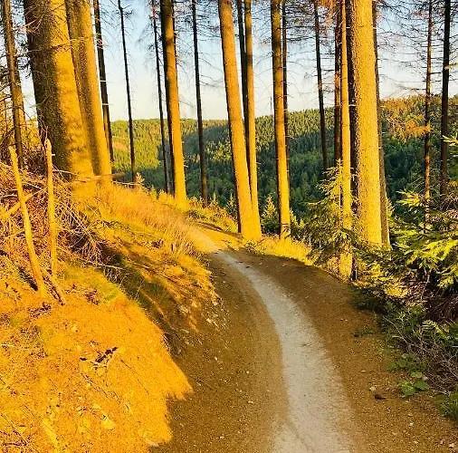 Maisonnette Am Bikepark Mit Terrasse Loggia Garage アパート ヴィンターベルク